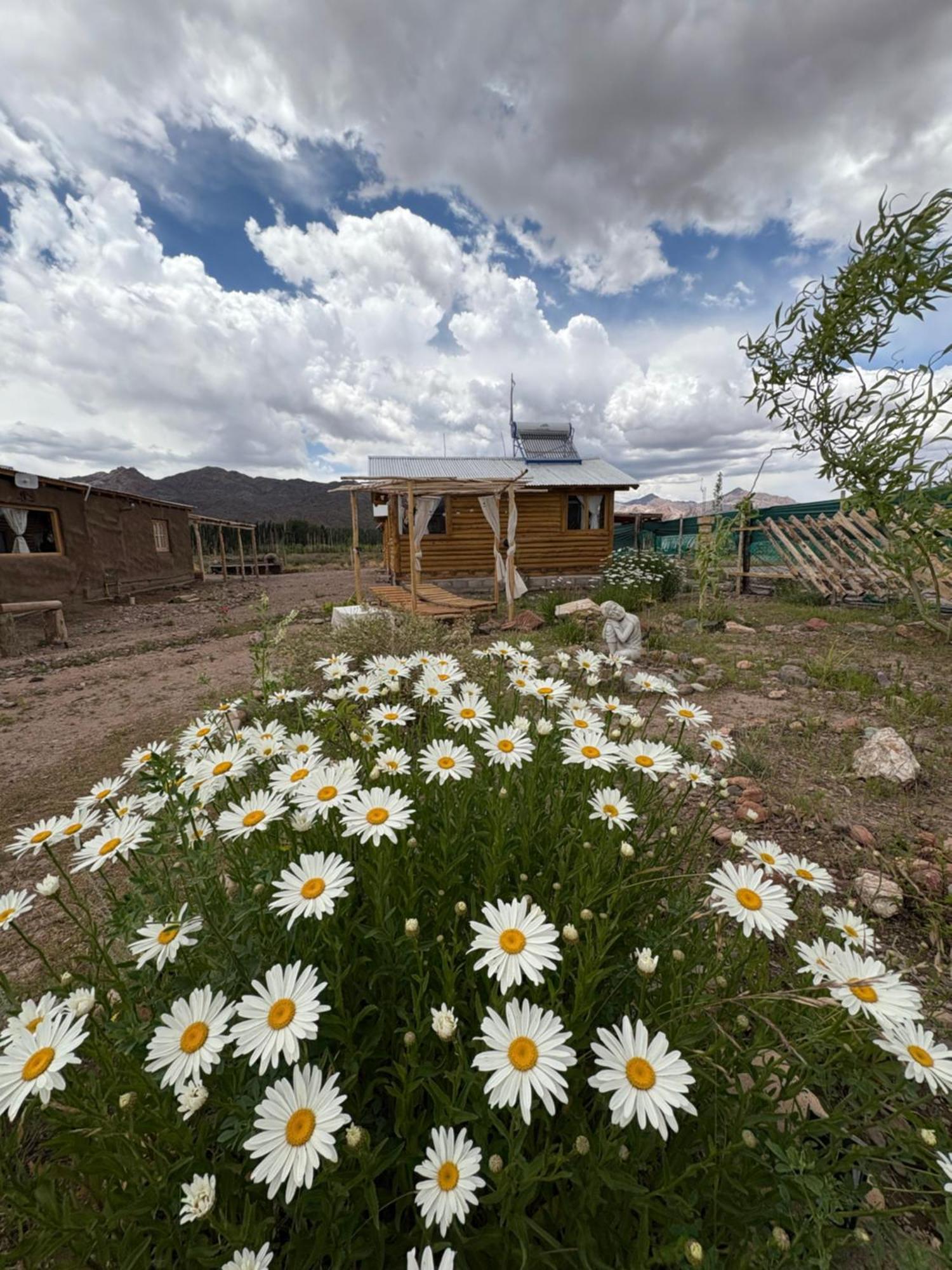 Paramitas Cabanas De Montana Uspallata Exteriör bild