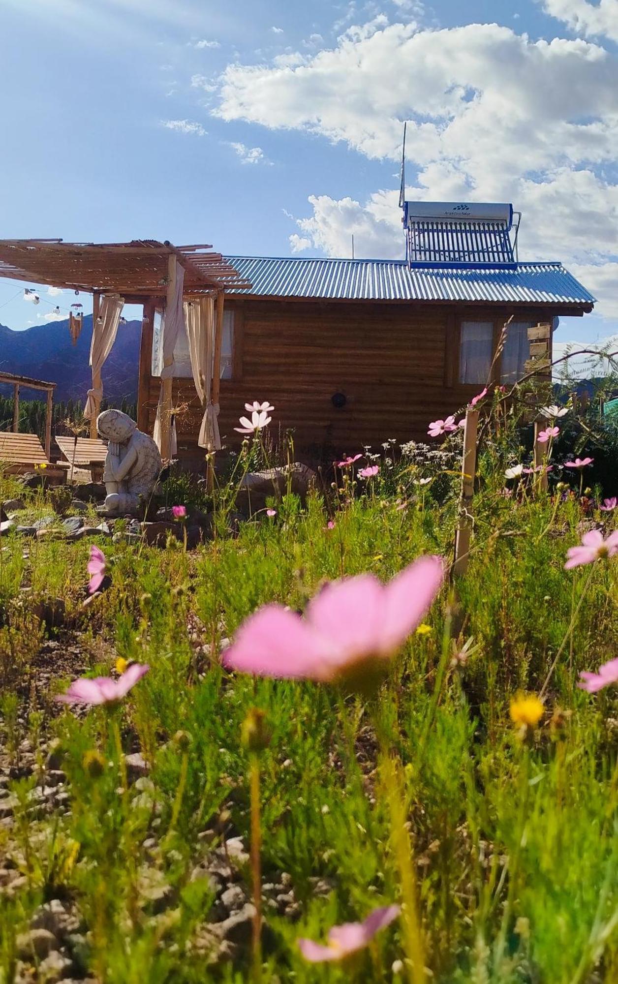 Paramitas Cabanas De Montana Uspallata Exteriör bild